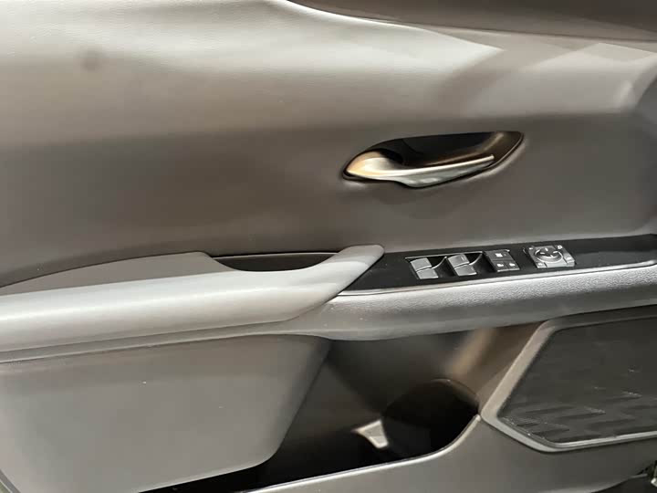 Lexus UX 2020 2020款 260h 探·酷版