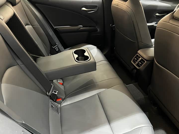 Lexus UX 2020 2020款 260h 探·酷版