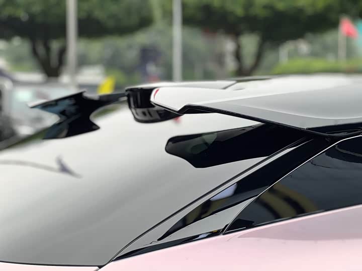 Lotus Eletre 2023 2023款 ELETRE R+