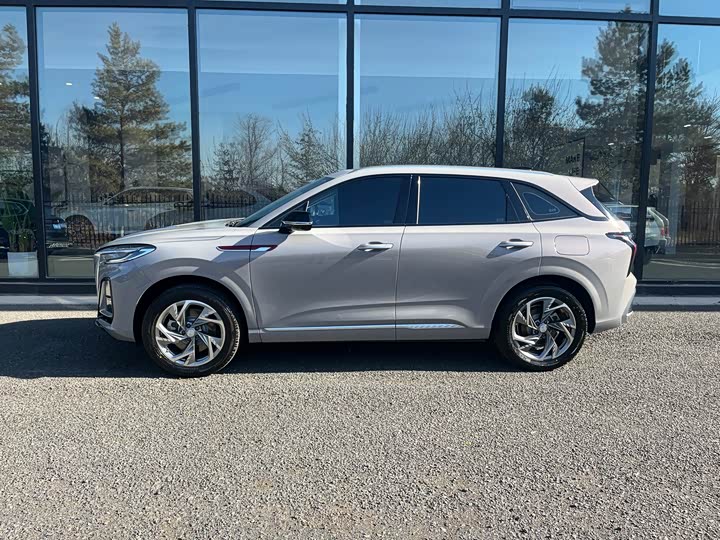 Hongqi HS3 Hybrid 2024 2024款 115km 劲为版