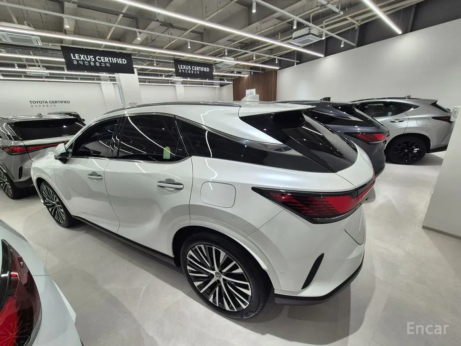 Lexus RX 2023 Luxury