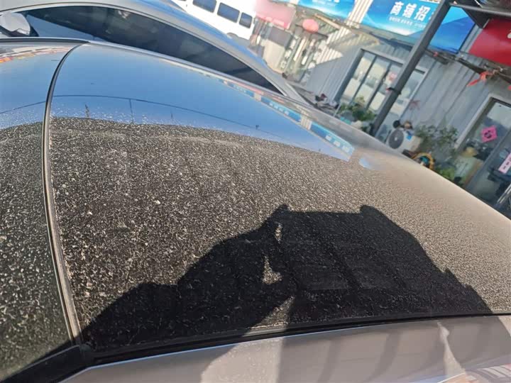 Toyota Avalon 2024 2024款 2.0L 臻选版