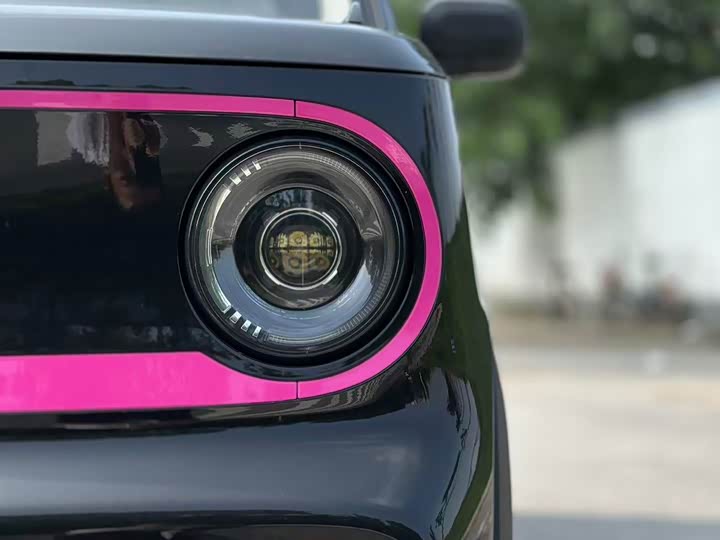 Geely Galaxy Panda Mini 2025 2025款 210km 熊猫卡丁