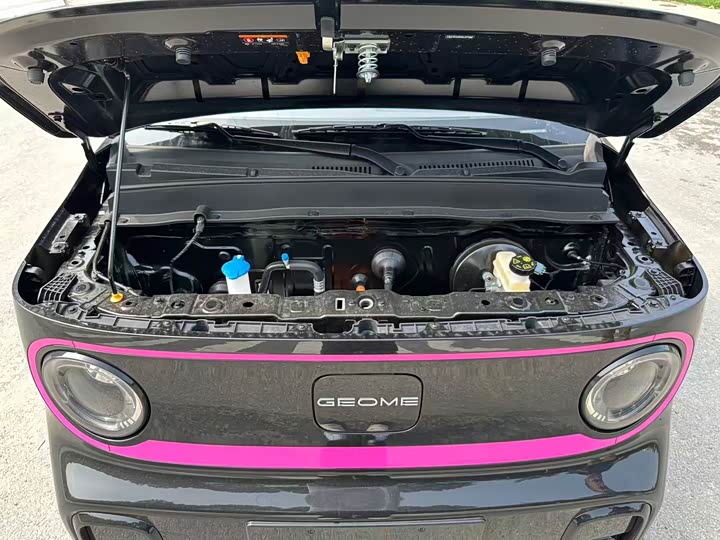 Geely Galaxy Panda Mini 2025 2025款 210km 熊猫卡丁