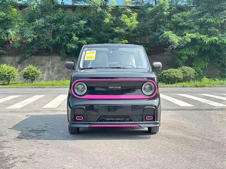 Geely Galaxy Panda Mini 2025 2025款 210km 熊猫卡丁