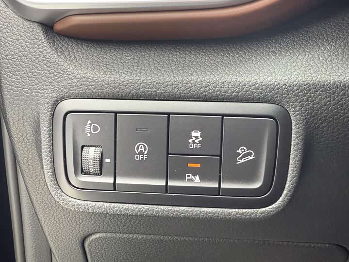 Kia Sportage GT-line 2021 2021款 Ace 2.0L 精彩版