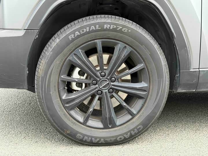Haval Raptor Hybrid 2024 2024款 Hi4 145 穿越版