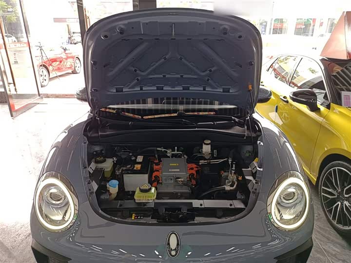 Ora Good Cat GT (03 GT) 2022 2022款 木兰版 480km长续航