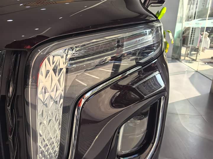 Hongqi HQ9 Hybrid 2024 2024款 2.0T 四驱商务版