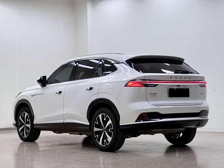 Roewe D5X DMH 2024 2024款 135科技版