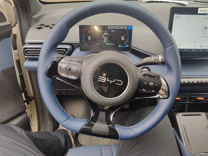 BYD Seagull 2025 2025款 305km 自由版