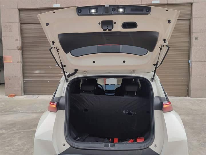 BYD Seagull 2025 2025款 305km 自由版