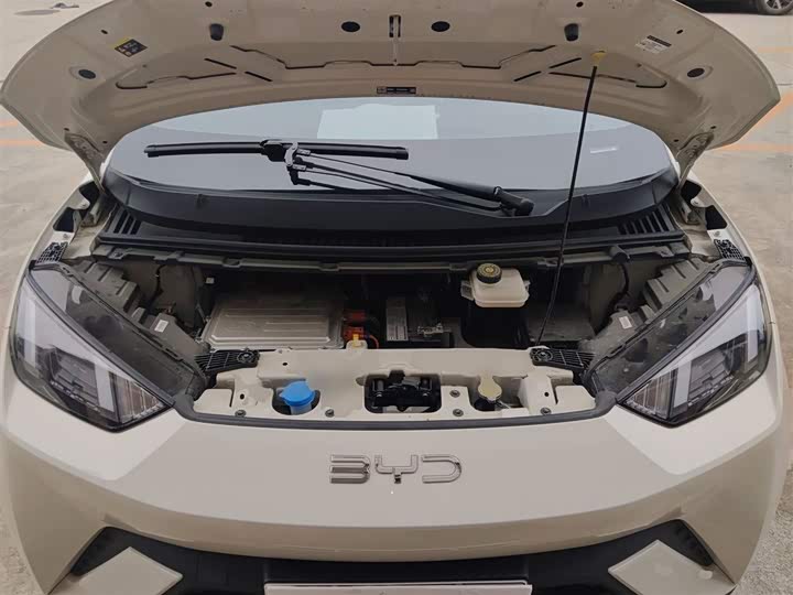 BYD Seagull 2025 2025款 305km 自由版