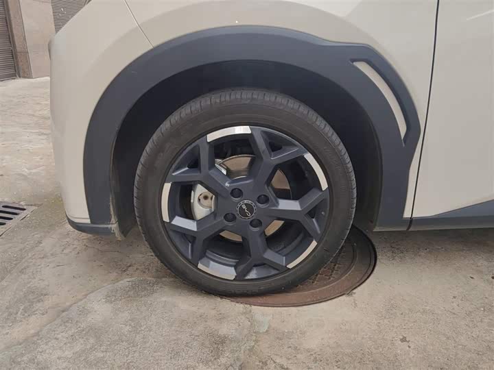 BYD Seagull 2025 2025款 305km 自由版