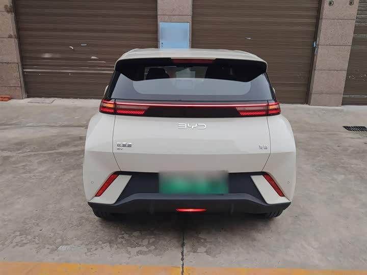 BYD Seagull 2025 2025款 305km 自由版