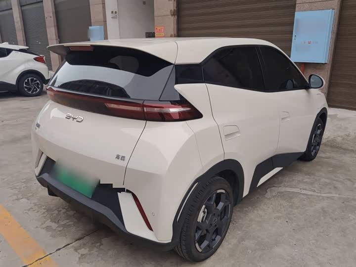 BYD Seagull 2025 2025款 305km 自由版