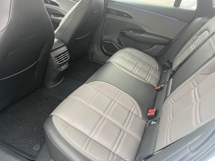 Hongqi EH7 2024 2024款 690 Pro