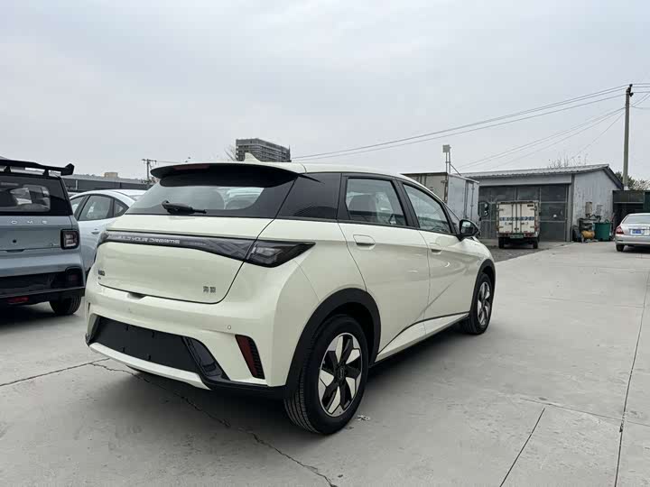 BYD Dolphin 2025 2025款 420km 自由版