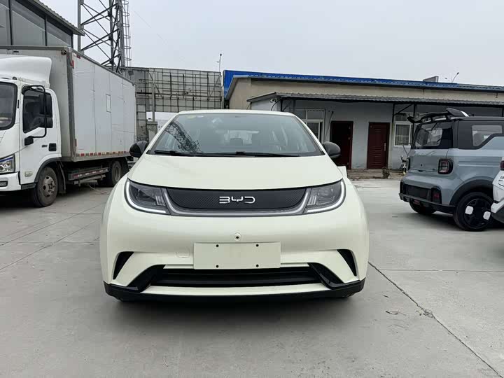 BYD Dolphin 2025 2025款 420km 自由版