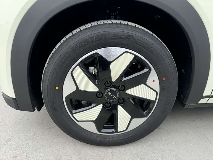 BYD Dolphin 2025 2025款 420km 自由版