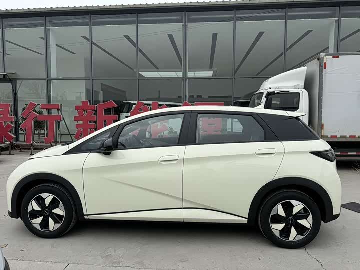 BYD Dolphin 2025 2025款 420km 自由版