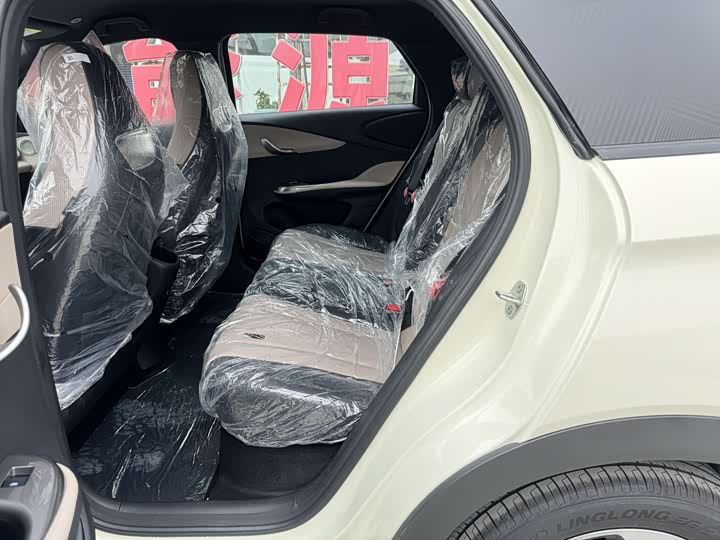 BYD Dolphin 2025 2025款 420km 自由版