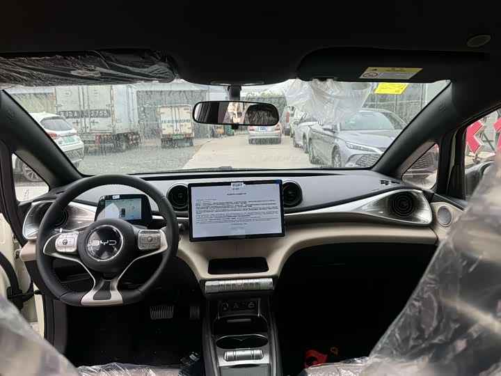 BYD Dolphin 2025 2025款 420km 自由版