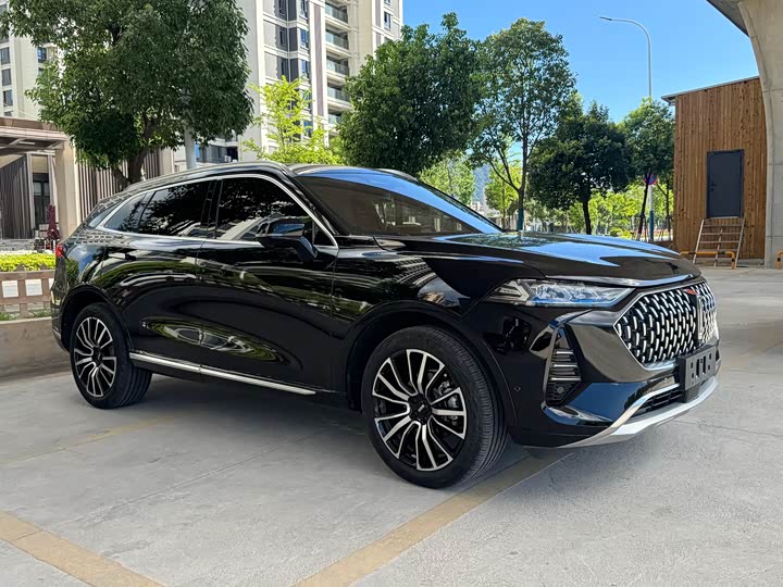 Wey Mocha 2021 2021款 2.0T 四驱特醇版