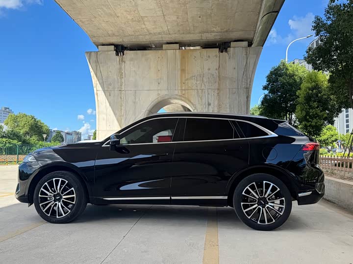 Wey Mocha 2021 2021款 2.0T 四驱特醇版