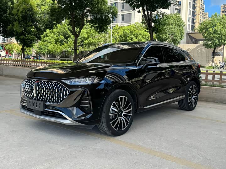 Wey Mocha 2021 2021款 2.0T 四驱特醇版