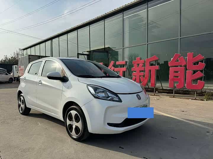 Changan BenBen E-Star 2022 2022款 国民版 多彩限量款（快充版）三元锂