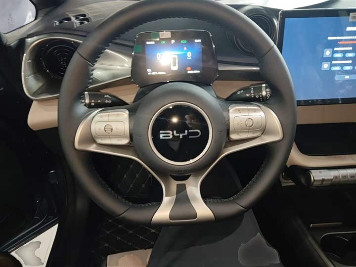 BYD Dolphin 2025 2025款 420km 自由版