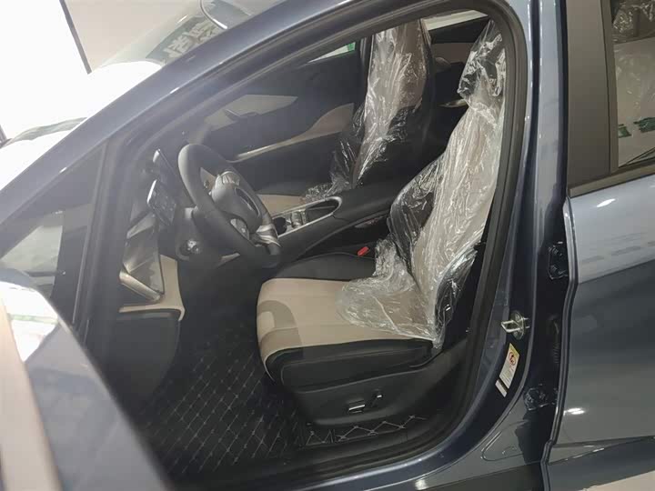 BYD Dolphin 2025 2025款 420km 自由版