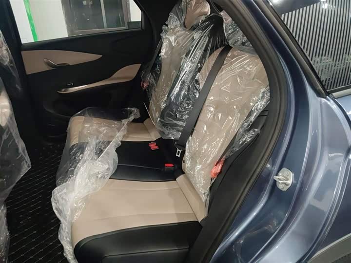 BYD Dolphin 2025 2025款 420km 自由版