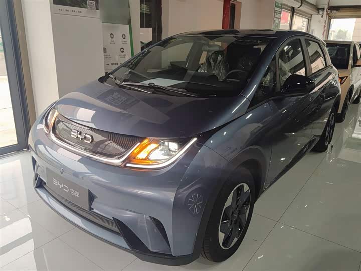BYD Dolphin 2025 2025款 420km 自由版