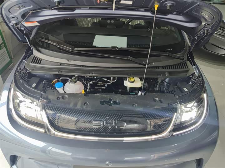 BYD Dolphin 2025 2025款 420km 自由版