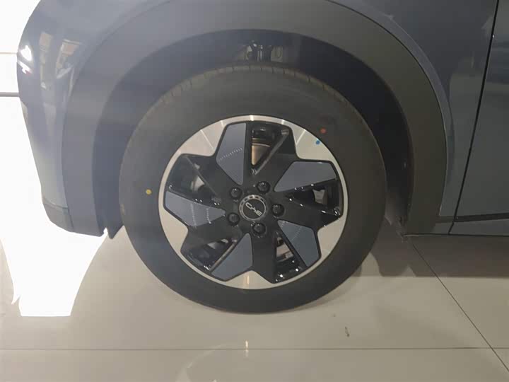 BYD Dolphin 2025 2025款 420km 自由版