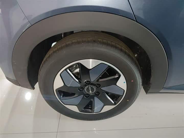 BYD Dolphin 2025 2025款 420km 自由版