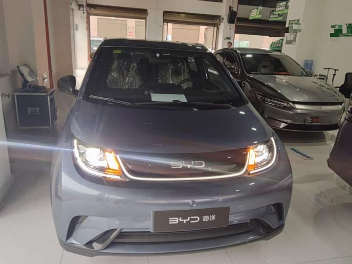 BYD Dolphin 2025 2025款 420km 自由版