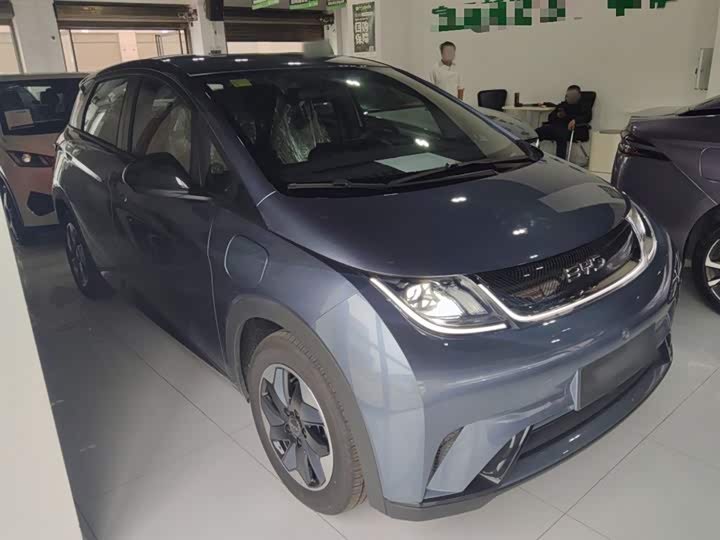BYD Dolphin 2025 2025款 420km 自由版