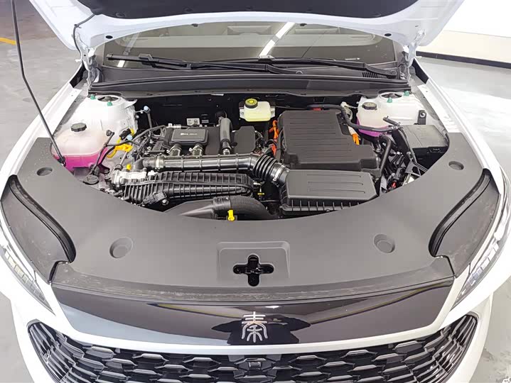 BYD Qin Plus 2025 2025款 DM-i 智驾版 55KM领先型