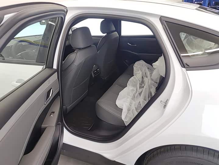 BYD Qin Plus 2025 2025款 DM-i 智驾版 55KM领先型