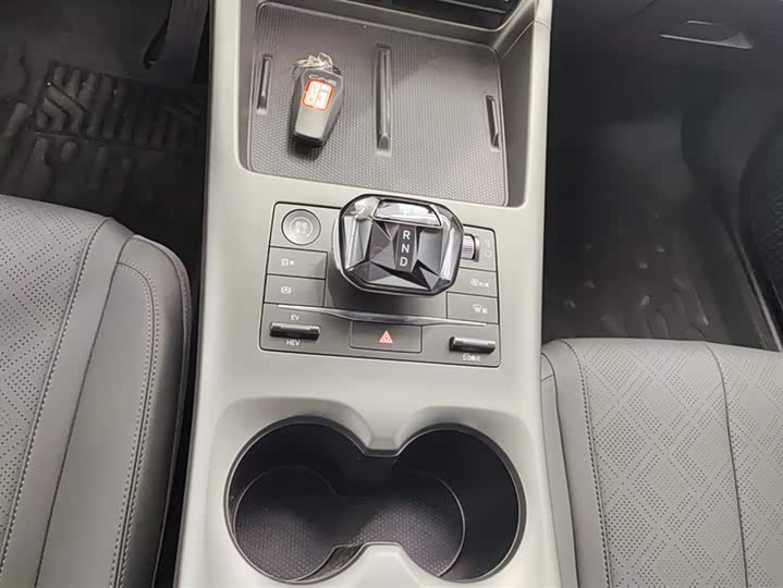 BYD Qin Plus 2025 2025款 DM-i 智驾版 55KM领先型