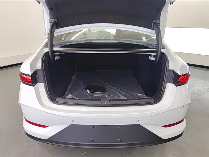 BYD Qin Plus 2025 2025款 DM-i 智驾版 55KM领先型