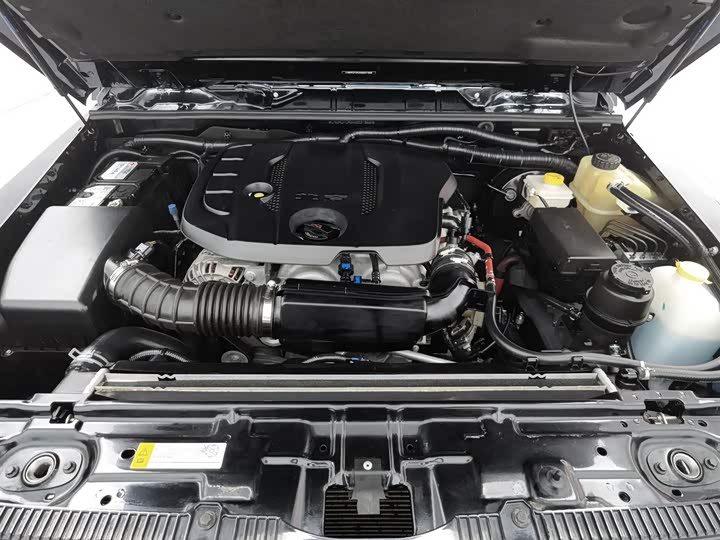 BAIC Beijing BJ80 2020 2020款 2.3T 自动公务版