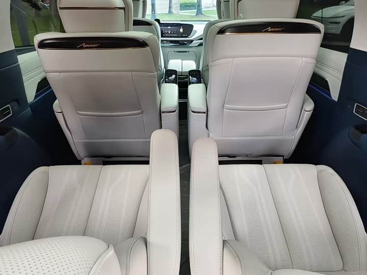 Buick GL8 Century 2023 2023款 2.0T 六座蕴世版