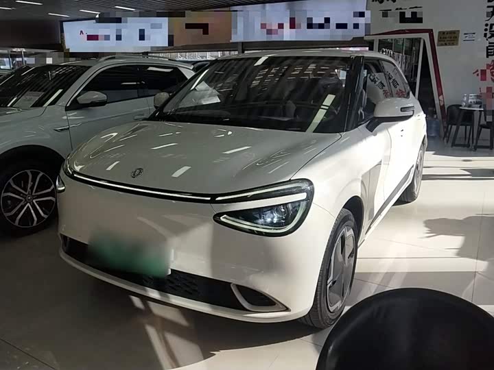 Dongfeng Nammi 01 2024 2024款 330 Plus