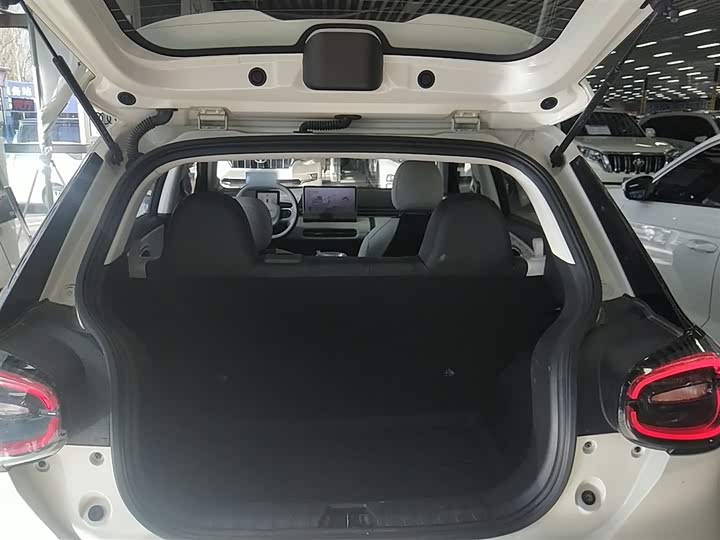 Dongfeng Nammi 01 2024 2024款 330 Plus