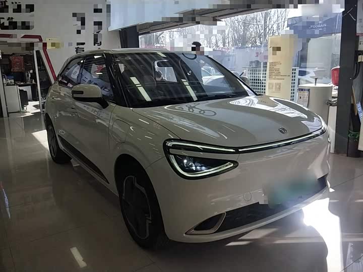 Dongfeng Nammi 01 2024 2024款 330 Plus