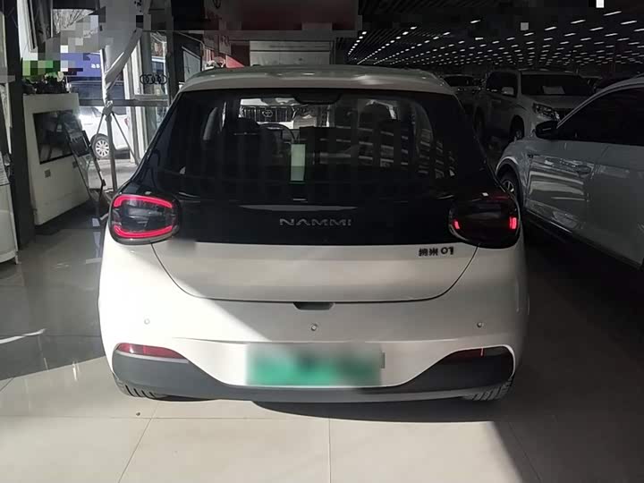 Dongfeng Nammi 01 2024 2024款 330 Plus